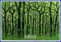 Fumio Fujita woodblock print framed signed rare forest green japanese landscape