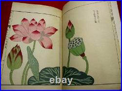 H-69 Japanese HONZO plant botanical Woodblock print BOOK