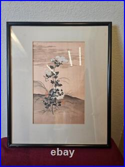 Itcho Hanabusa A White Cat Japanese Woodblock Print (reprint) 1920's Framed