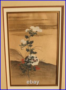 Itcho Hanabusa A White Cat Japanese Woodblock Print (reprint) 1920's Framed