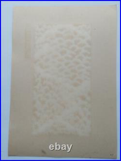 JAPANESE WOODBLOCK PRINT SHIN HANGA ORIGINAL ANTIQUE Japanese Design 1920s