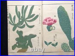 Japan Edo Illustrated book of flora HONZO ZUFU Color Woodblock print book Vol. 33