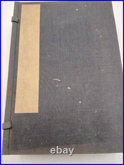 Japanese Antique Woodblock PrintedBook? Narumikata 5 Volumes Complete 1883