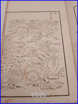 Japanese Antique Woodblock PrintedBook? Narumikata 5 Volumes Complete 1883
