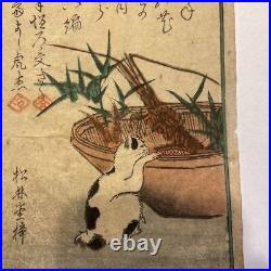 Japanese Antique Yoshitora Utagawa Woodblock Print Of Cat Ukiyo-e Original Rare