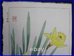 Japanese Print Woodblock Flower Kawarazaki Shodo