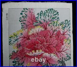 Japanese Print Woodblock Flower Kawarazaki Shodo