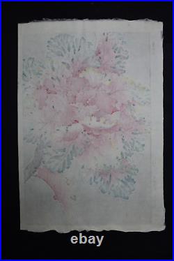 Japanese Print Woodblock Flower Kawarazaki Shodo