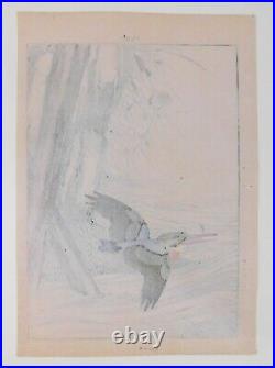 Japanese Ukiyo-e Woodblock Print IMAO KEINEN Astor & Kingfisher