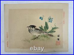Japanese Woodblock Bird Print Kinseimeika-Kachogafu 12 Print 1899