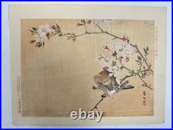 Japanese Woodblock Bird Print Kinseimeika-Kachogafu 12 Print 1899