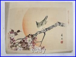 Japanese Woodblock Bird Print Kinseimeika-Kachogafu 12 Print 1899