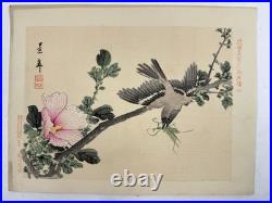 Japanese Woodblock Bird Print Kinseimeika-Kachogafu 12 Print 1899