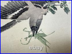 Japanese Woodblock Bird Print Kinseimeika-Kachogafu 12 Print 1899