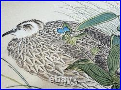 Japanese Woodblock Bird Print Kinseimeika-Kachogafu 12 Print 1899