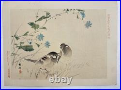 Japanese Woodblock Bird Print Kinseimeika-Kachogafu 12 Print 1899