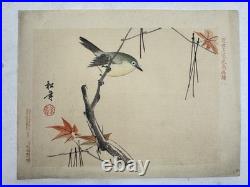 Japanese Woodblock Bird Print Kinseimeika-Kachogafu 12 Print 1899