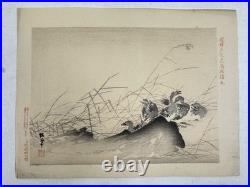 Japanese Woodblock Bird Print Kinseimeika-Kachogafu 12 Print 1899