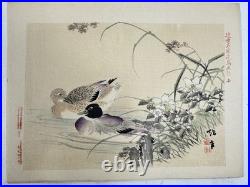 Japanese Woodblock Bird Print Kinseimeika-Kachogafu 12 Print 1899