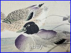 Japanese Woodblock Bird Print Kinseimeika-Kachogafu 12 Print 1899