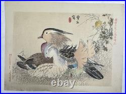 Japanese Woodblock Bird Print Kinseimeika-Kachogafu 12 Print 1899