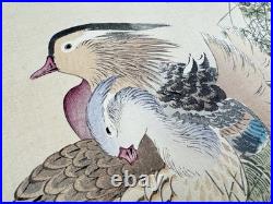 Japanese Woodblock Bird Print Kinseimeika-Kachogafu 12 Print 1899