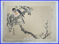 Japanese Woodblock Bird Print Kinseimeika-Kachogafu 12 Print 1899