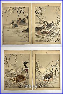 Japanese Woodblock Print 4 print from Keinen Kacho Gafu? Bird Vintage Original