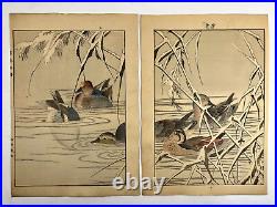 Japanese Woodblock Print 4 print from Keinen Kacho Gafu? Bird Vintage Original