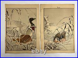 Japanese Woodblock Print 4 print from Keinen Kacho Gafu? Bird Vintage Original