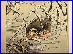 Japanese Woodblock Print 4 print from Keinen Kacho Gafu? Bird Vintage Original