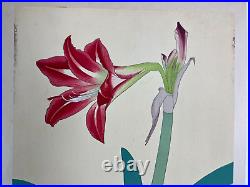 Japanese Woodblock Print AMARYLIS Rakuzan 1931 Flower Vintage Original