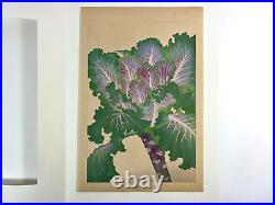 Japanese Woodblock Print BRASSICA Rakuzan Chigusa Soun Flower Vintage Original