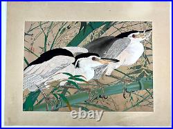 Japanese Woodblock Print Bamboo and night heron Rakuzan Bird Original Vintage