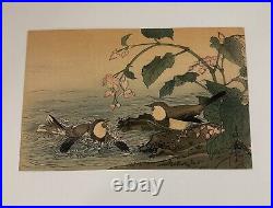 Japanese Woodblock Print Birds Bathing Kitao Shihemasa