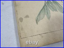 Japanese Woodblock Print Book Bijutsu-sekai vol. 4 Suzuki Momotoshi 1891