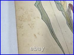 Japanese Woodblock Print Book Mokugo Zuanshu Asai chu Unsodo Craft Design 1909