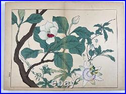 Japanese Woodblock Print Book Shiki no Hana vol. 4 Flower vintage original
