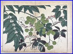 Japanese Woodblock Print Book Shiki no Hana vol. 7 Flower vintage original