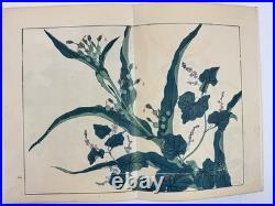 Japanese Woodblock Print Book Shikinohana vol. 7 Flower Sakai Hoitsu 1907