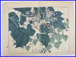 Japanese Woodblock Print Book Shikinohana vol. 7 Flower Sakai Hoitsu 1907