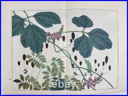 Japanese Woodblock Print Book Shikinohana vol. 7 Flower Sakai Hoitsu 1907