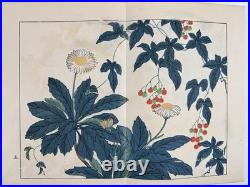 Japanese Woodblock Print Book Shikinohana vol. 7 Flower Sakai Hoitsu 1907