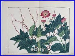 Japanese Woodblock Print Book Shikinohana vol. 7 Flower Sakai Hoitsu 1907