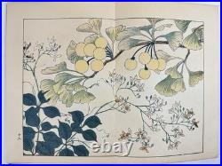 Japanese Woodblock Print Book Shikinohana vol. 7 Flower Sakai Hoitsu 1907