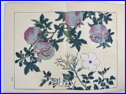 Japanese Woodblock Print Book Shikinohana vol. 7 Flower Sakai Hoitsu 1907
