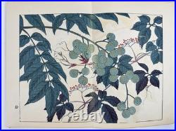 Japanese Woodblock Print Book Shikinohana vol. 7 Flower Sakai Hoitsu 1907