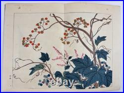 Japanese Woodblock Print Book Shikinohana vol. 7 Flower Sakai Hoitsu 1907