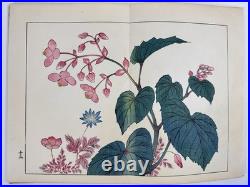 Japanese Woodblock Print Book Shikinohana vol. 7 Flower Sakai Hoitsu 1907
