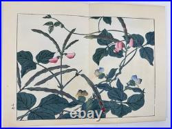 Japanese Woodblock Print Book Shikinohana vol. 7 Flower Sakai Hoitsu 1907